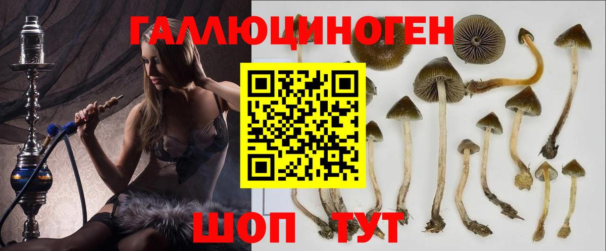 Галлюциногенные грибы мухоморы  Псилоцибиновые грибы GOLDEN TEACHER  Вход с VPN  Ржев 